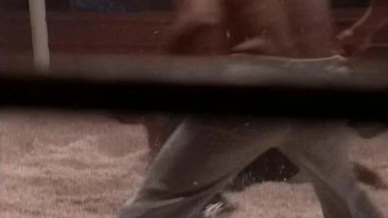 Кадры из сериала Крутой Уокер (1993)